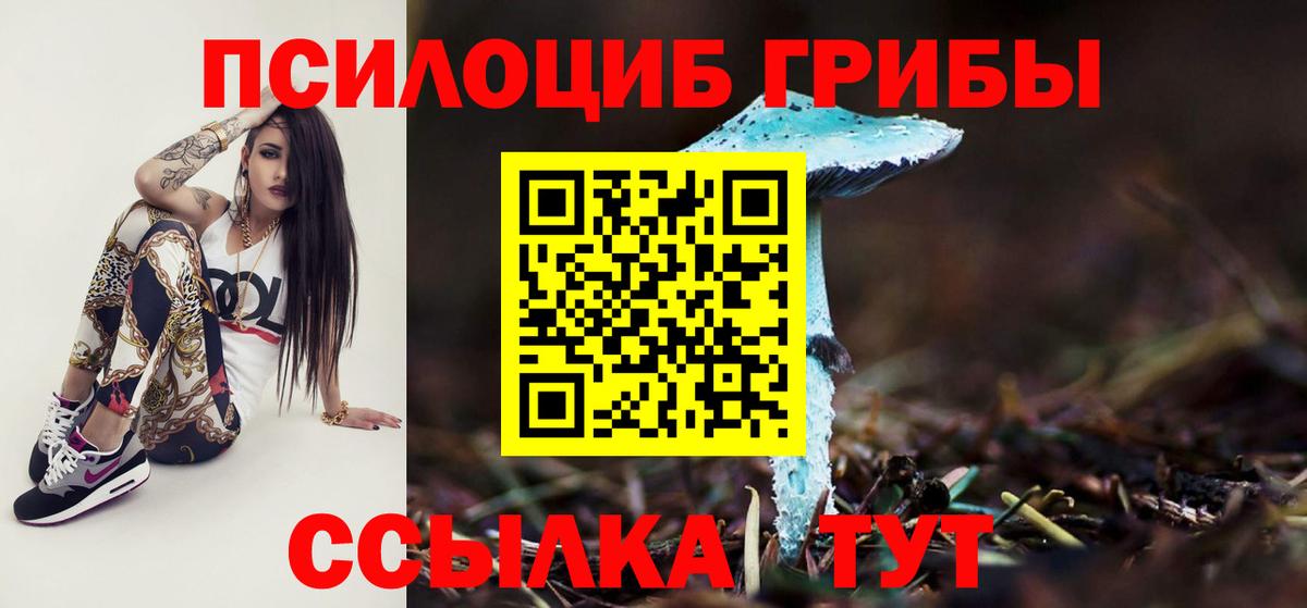 Дубна  Галлюциногенные грибы Psilocybe  Вход с VPN  хочу   Псилоцибиновые грибы Psilocybine cubensis 